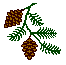 branch2.gif