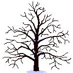 arb_plante_058_1.gif