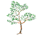 jotree4.gif