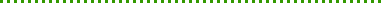 bar03_dot3x3_green_1.gif
